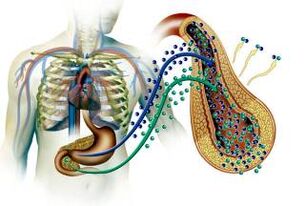 Diabetes mellitus-en pankreasaren kalteak