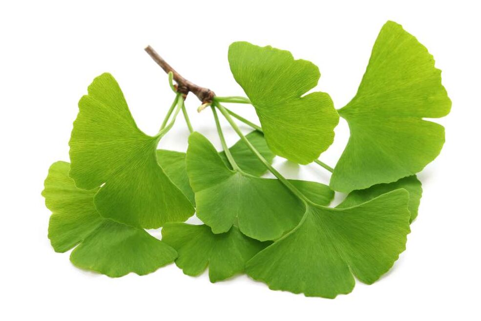 gingko biloba kapsuletan Glucoren